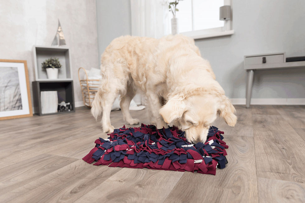 Miniature : Tapis de fouille