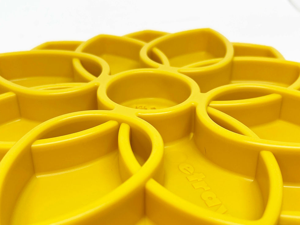 Thumbnail: Mandala Nylon Sodapup