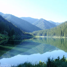 Mountain lake lined by pine trees