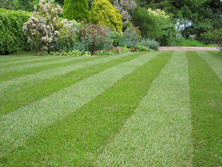 Planera skötseln av era utemiljöer inför sommaren