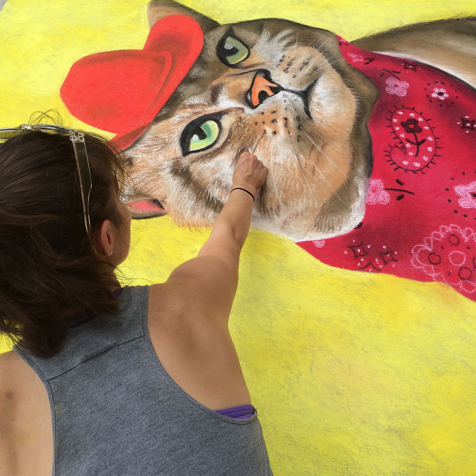Chalk artist drawing a cat on asphalt