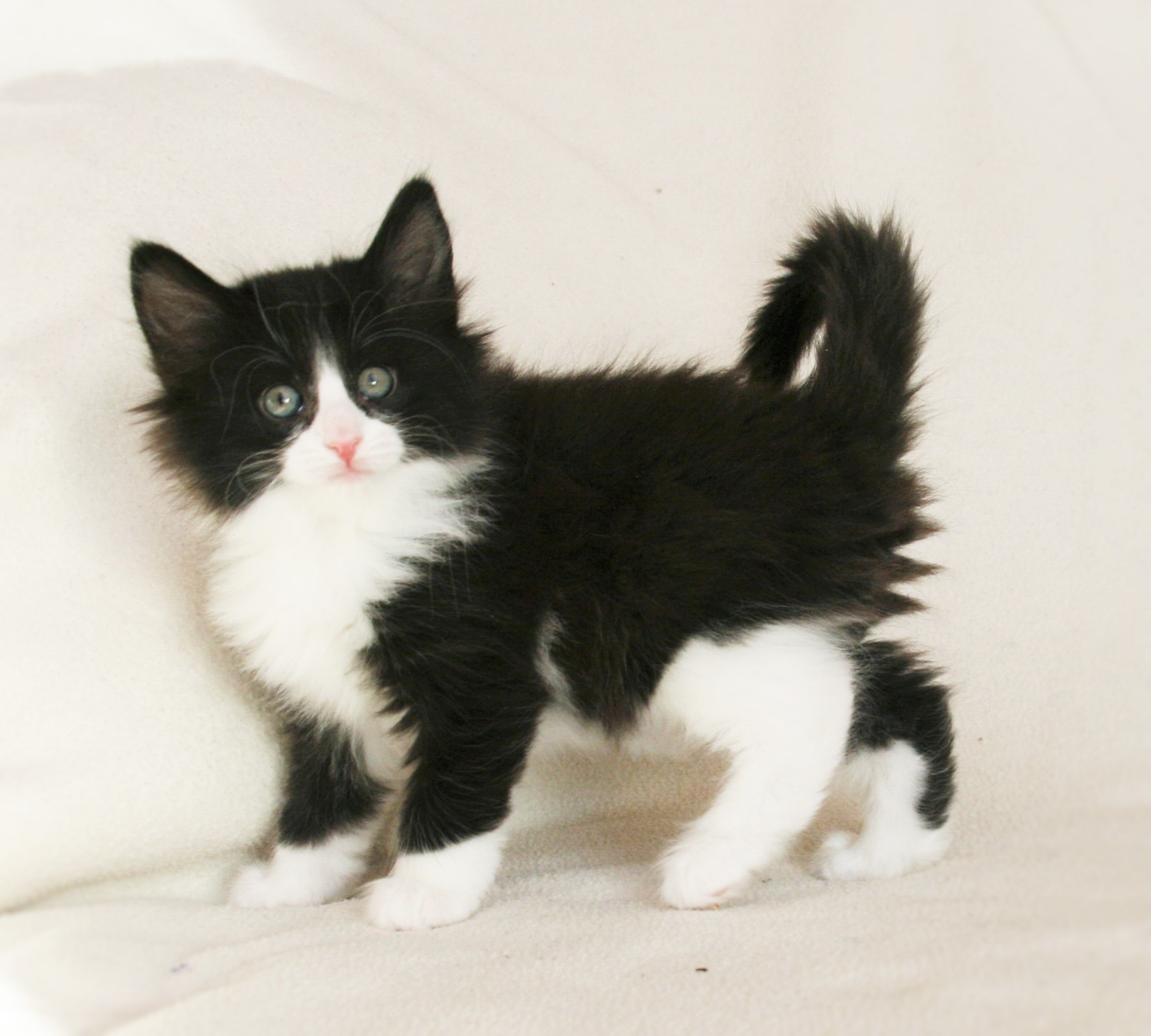 Imelda 6_3 weeks_2