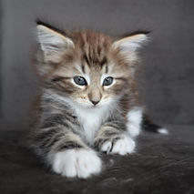 Champagne 7 weeks_7.JPG