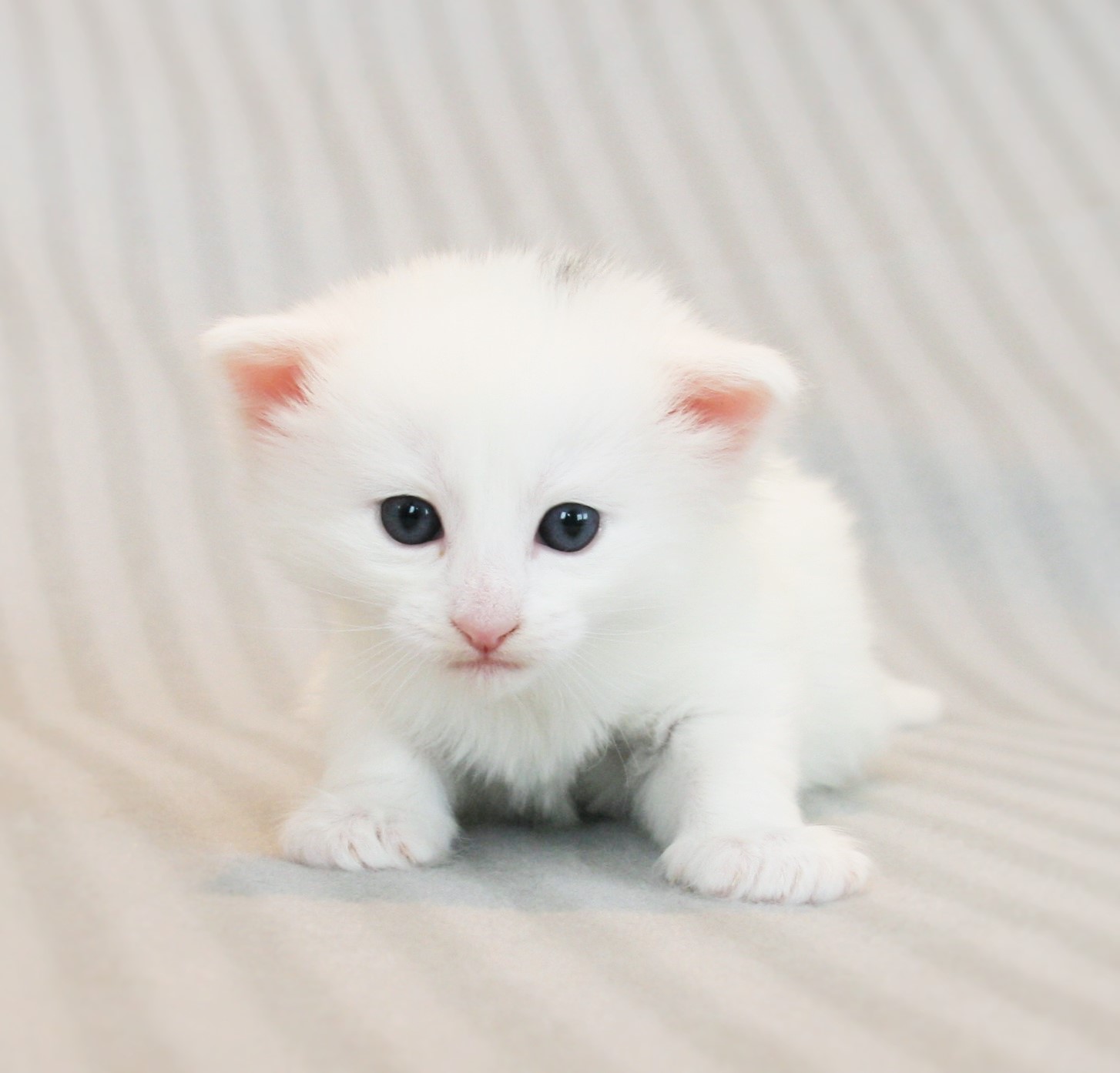 Katy 3_2 weeks_1