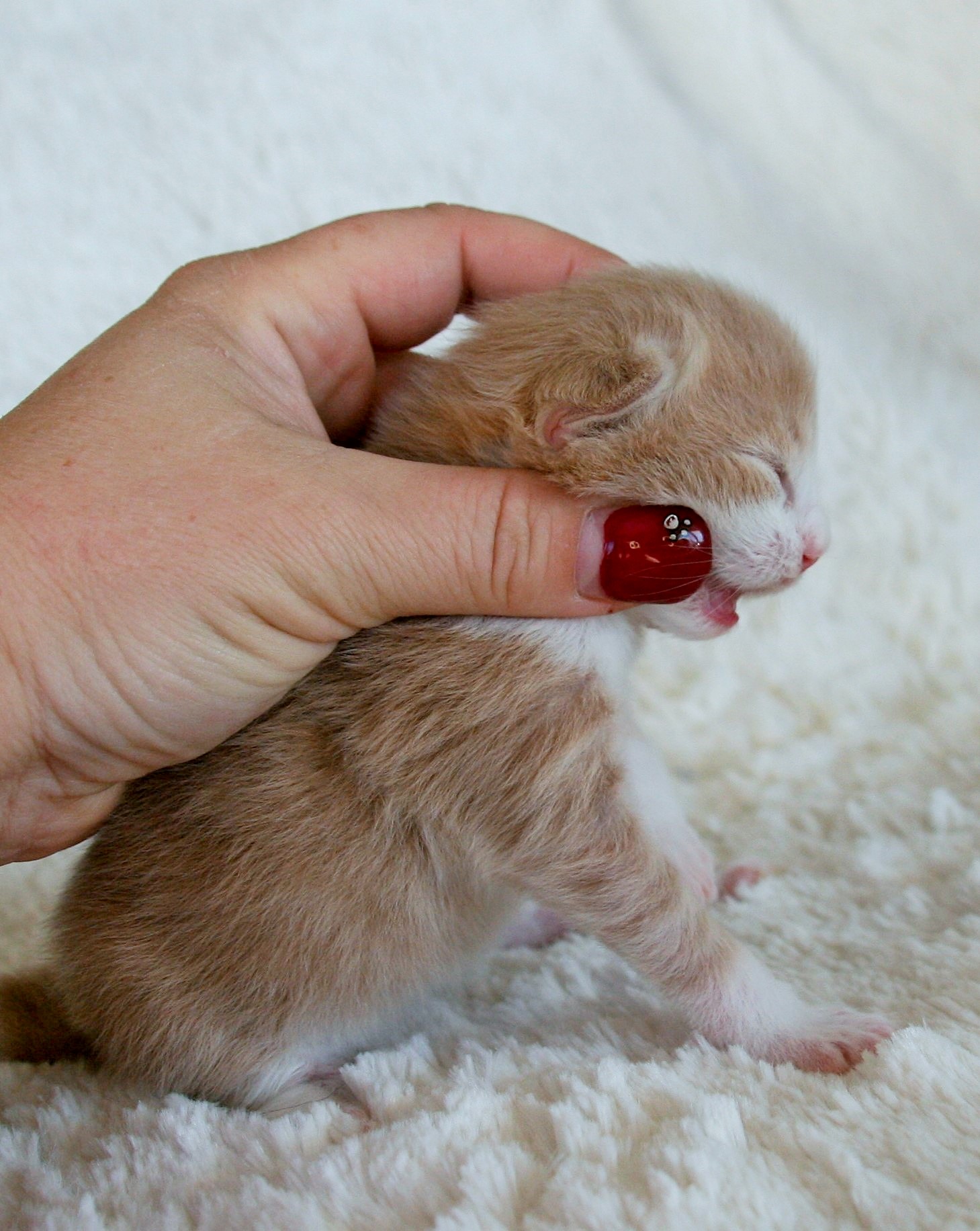 Highasakite 1 week_3
