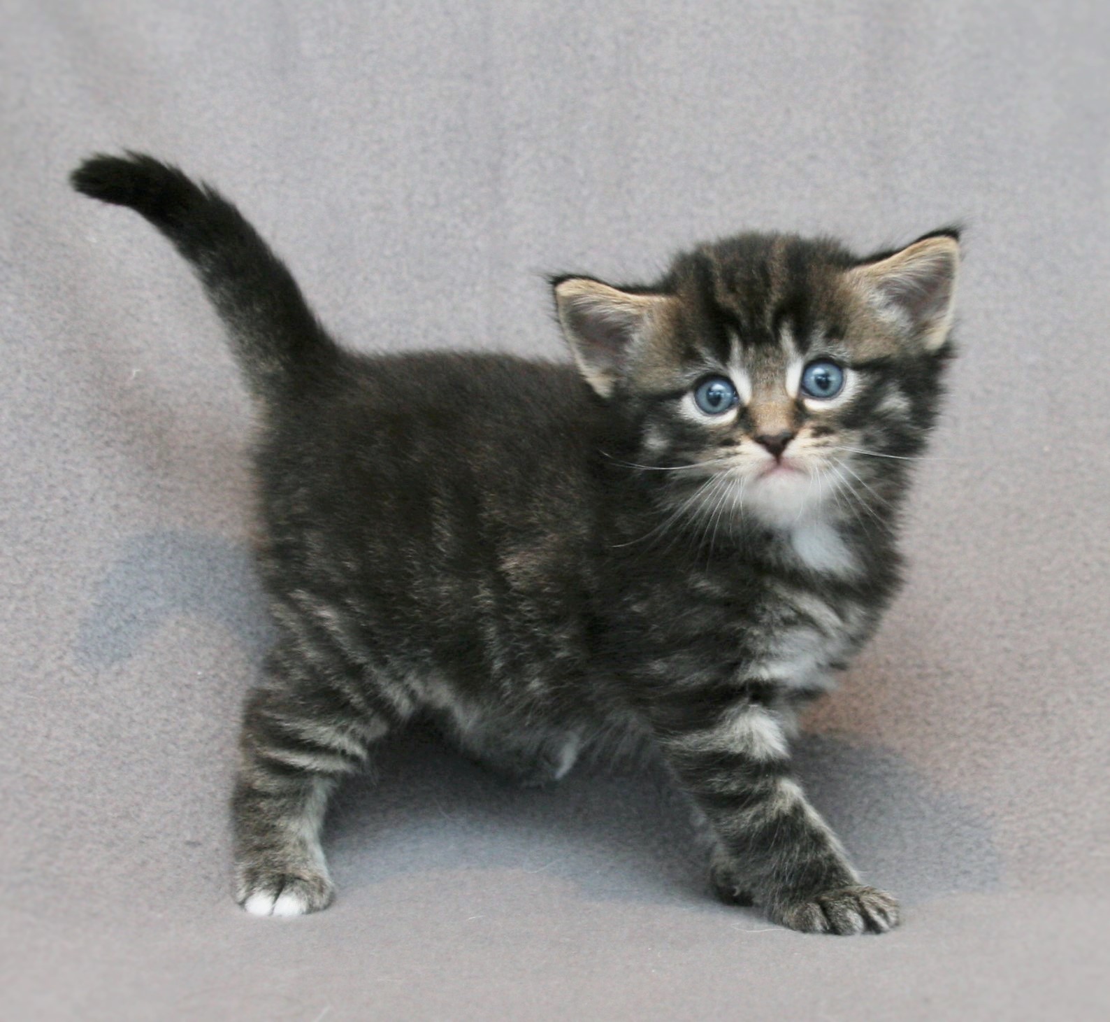 Lady 4 weeks_3