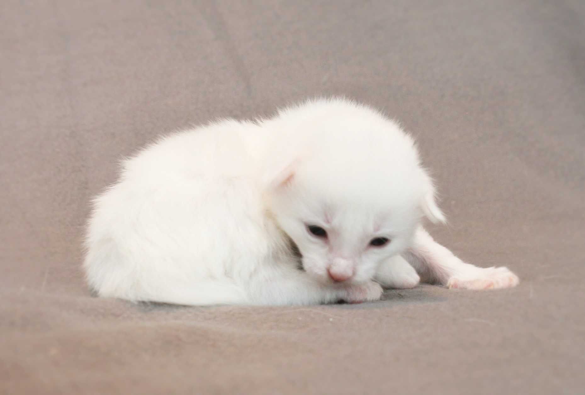 Kygo 2 weeks_3