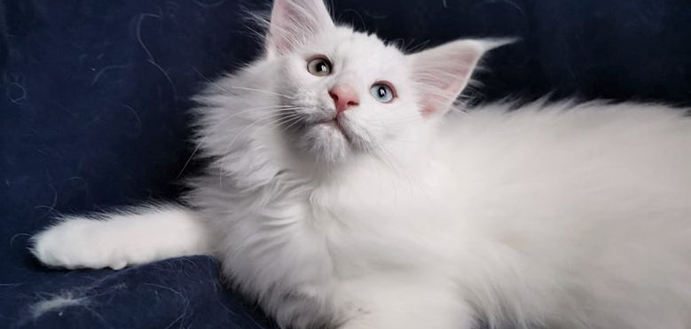 Yasmin 13 weeks_4.jpg