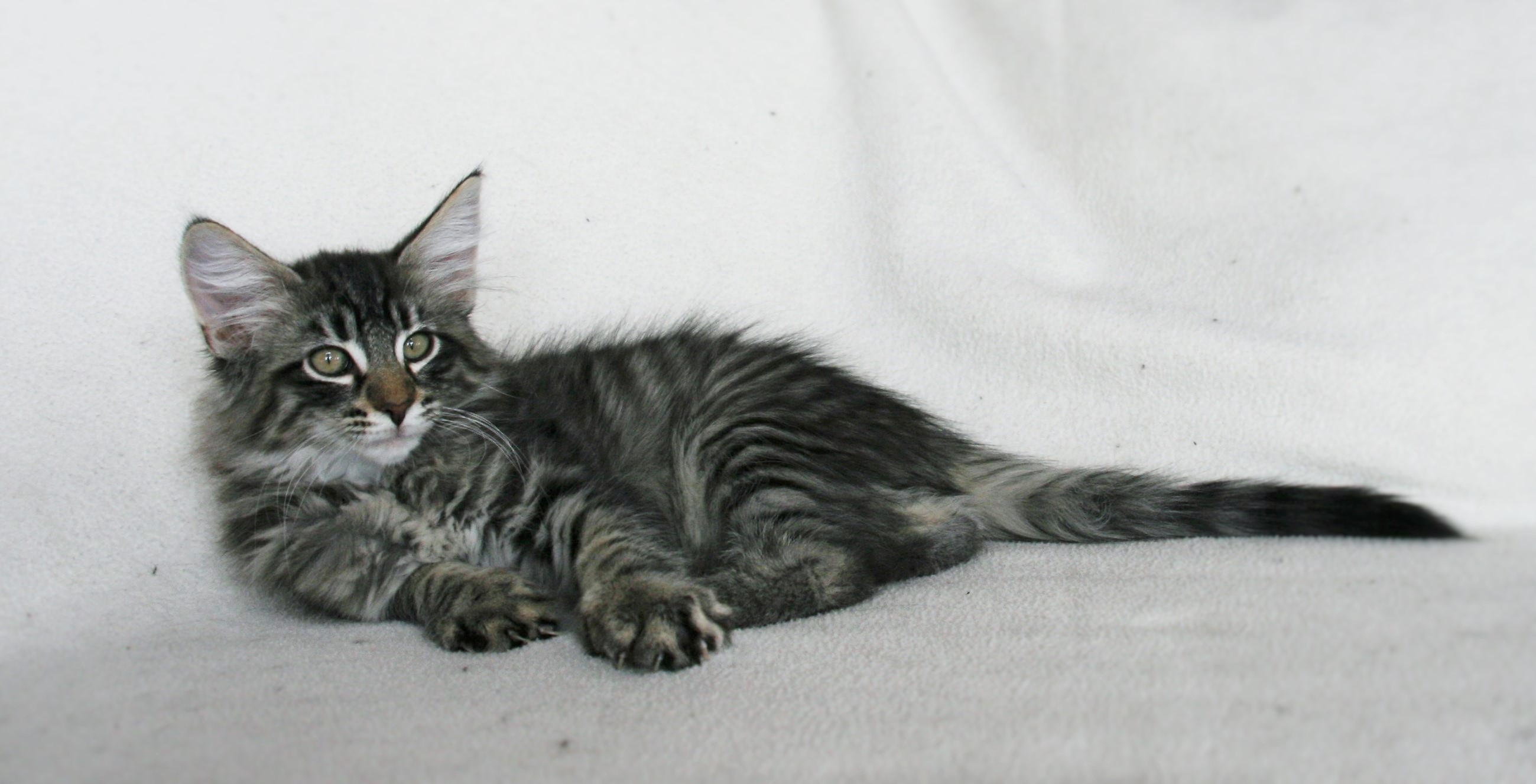 Isaac 13,5 weeks_1
