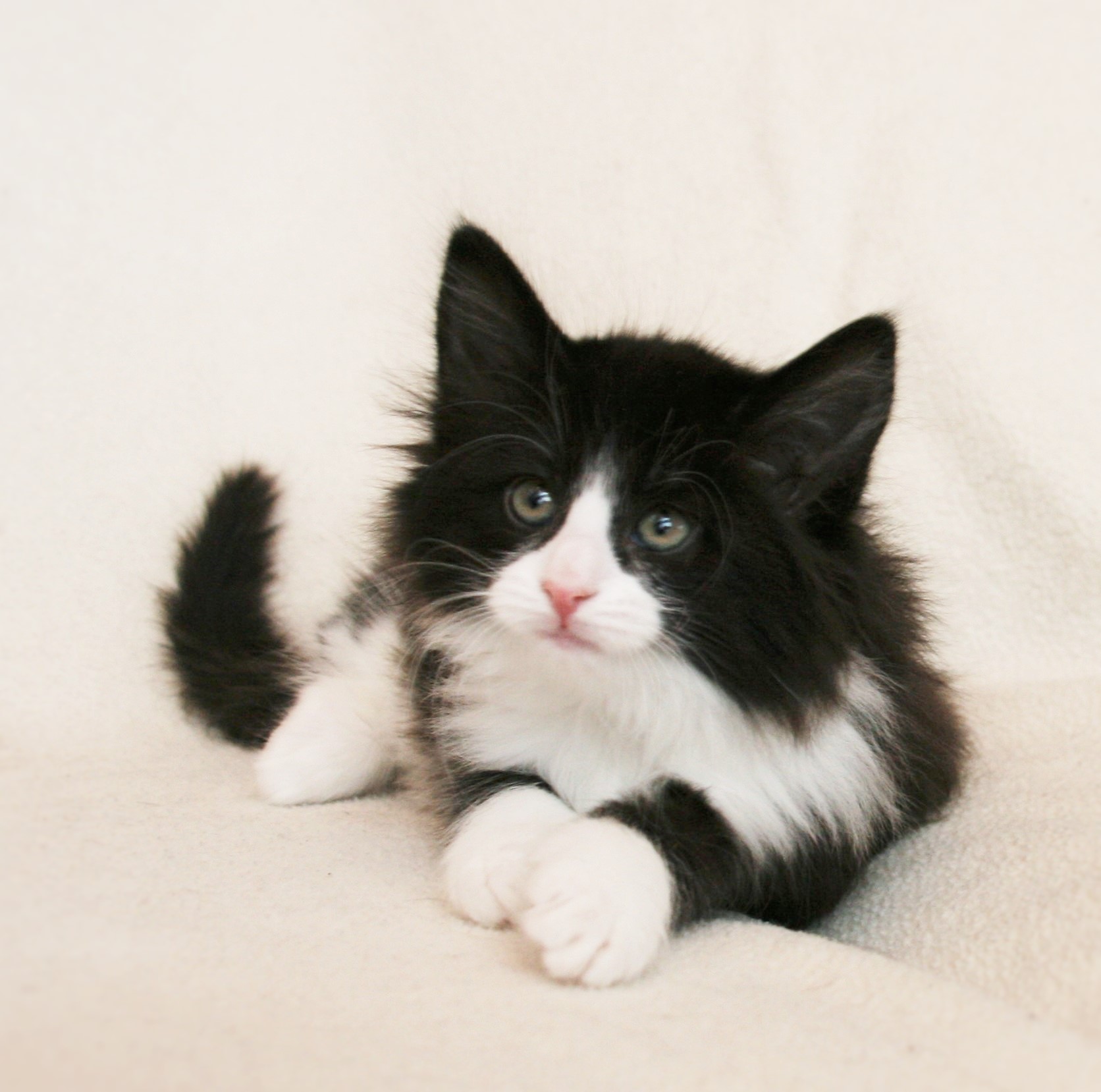 Imelda 7.5 weeks_3