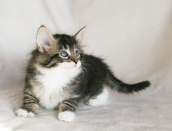 Infinity 6_3 weeks_4