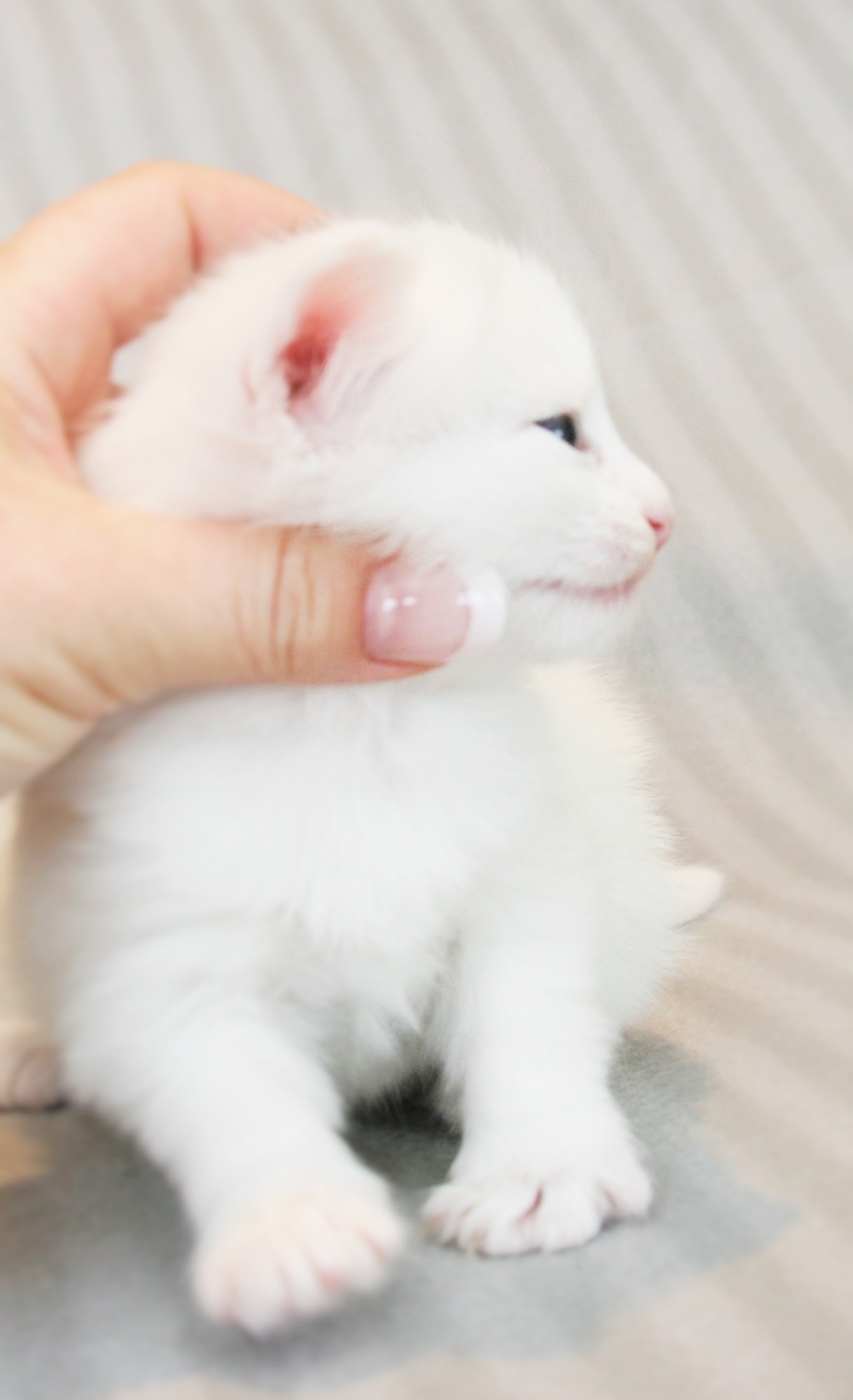 Katy 3_2 weeks_3