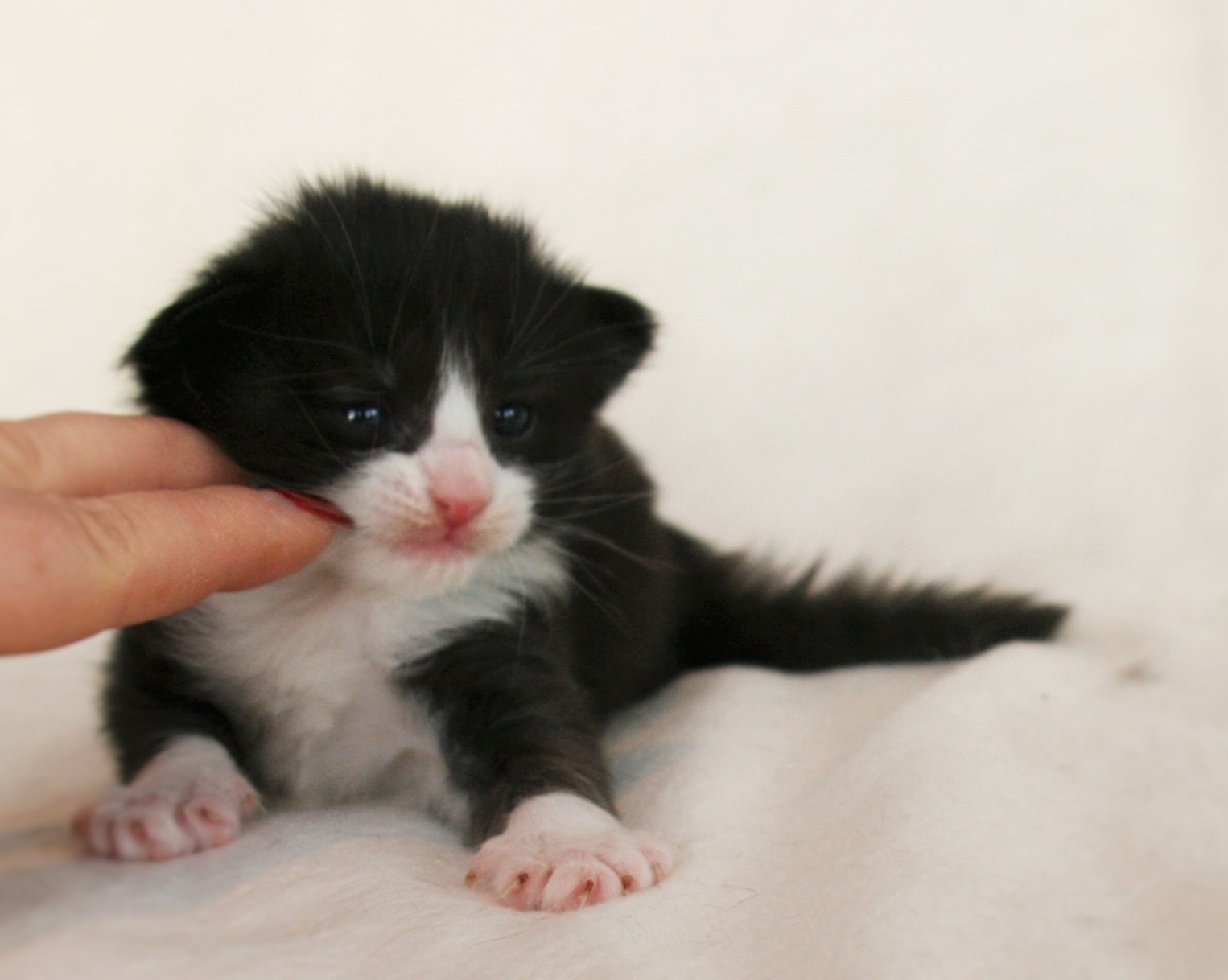 Imelda 2 weeks_3