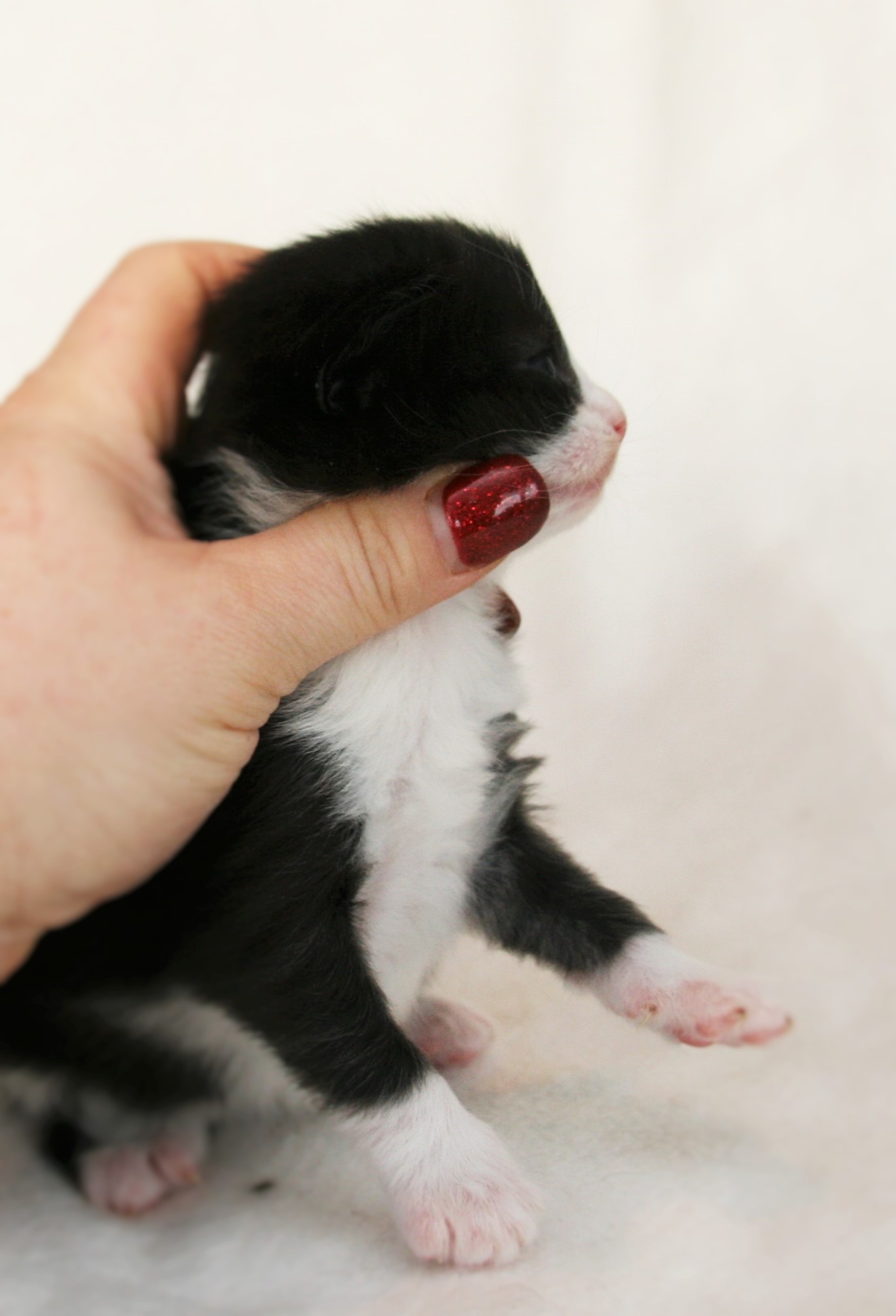 Imelda 2 weeks_1