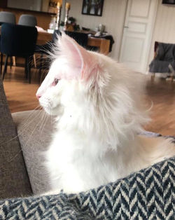 140311888_10157572463922161_547757798649