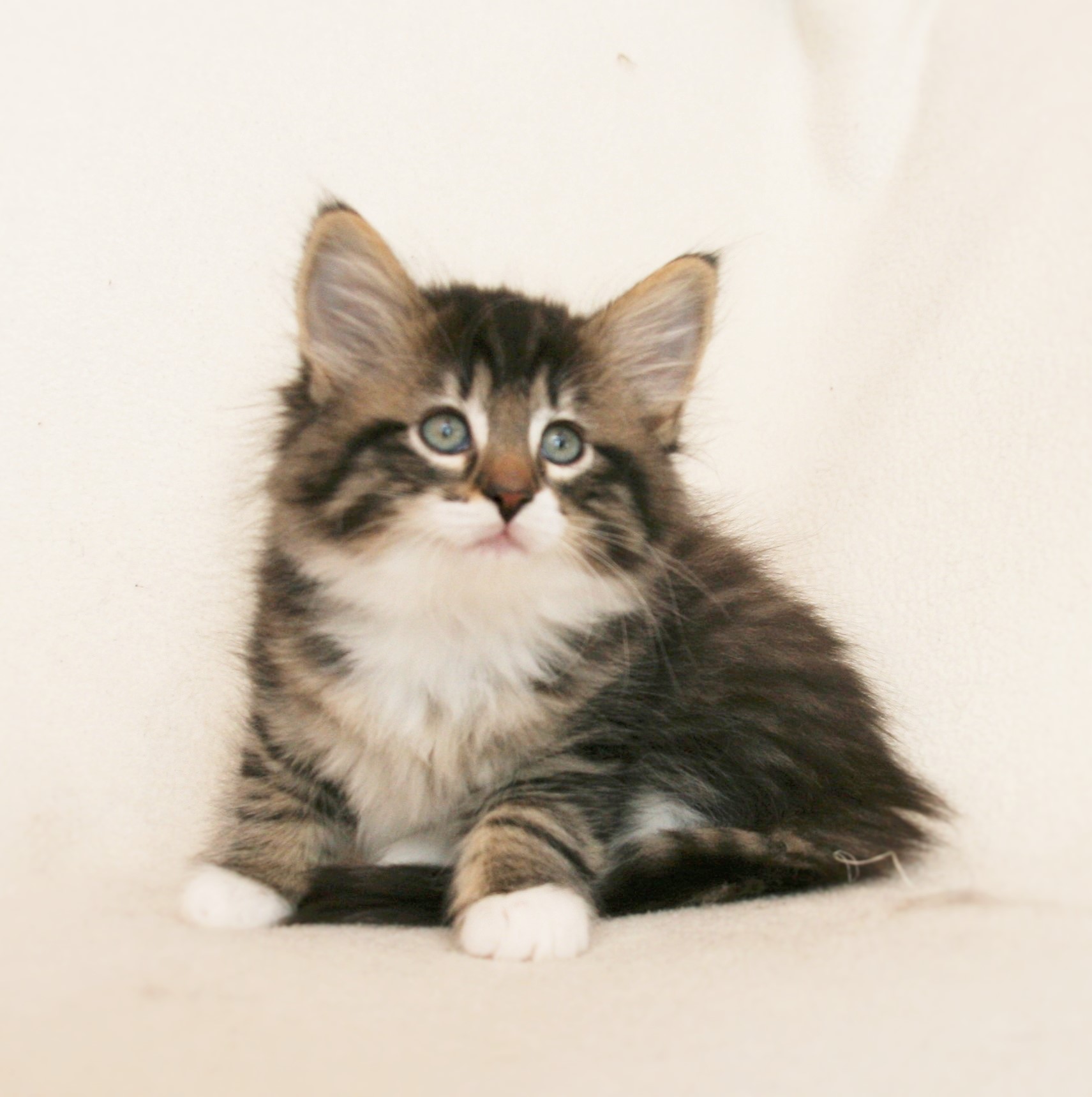 Infinity 7.5 weeks_2