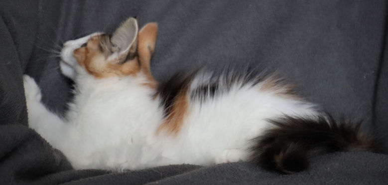 Xandria 12 weeks_4.jpg