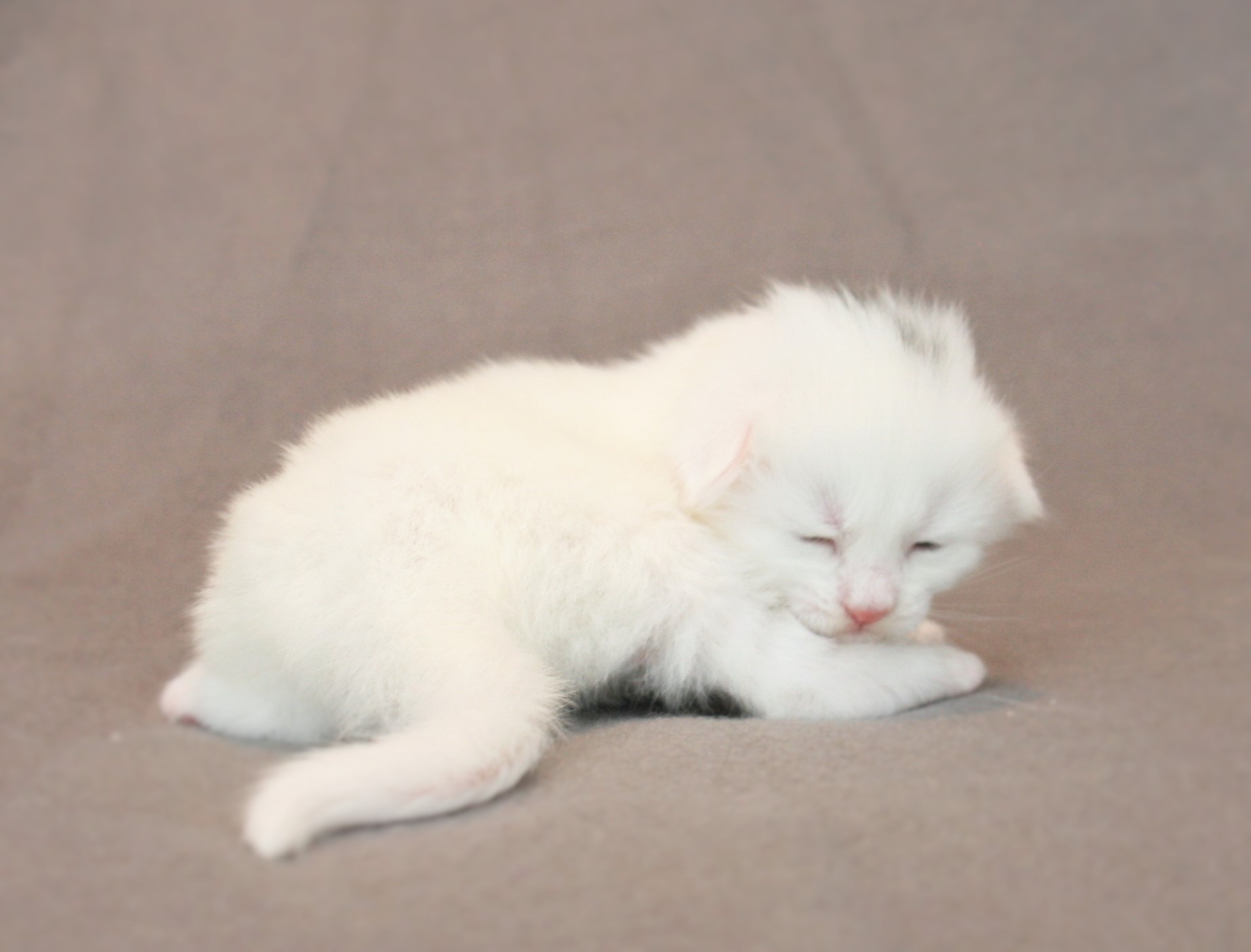 Katy 2 weeks_1
