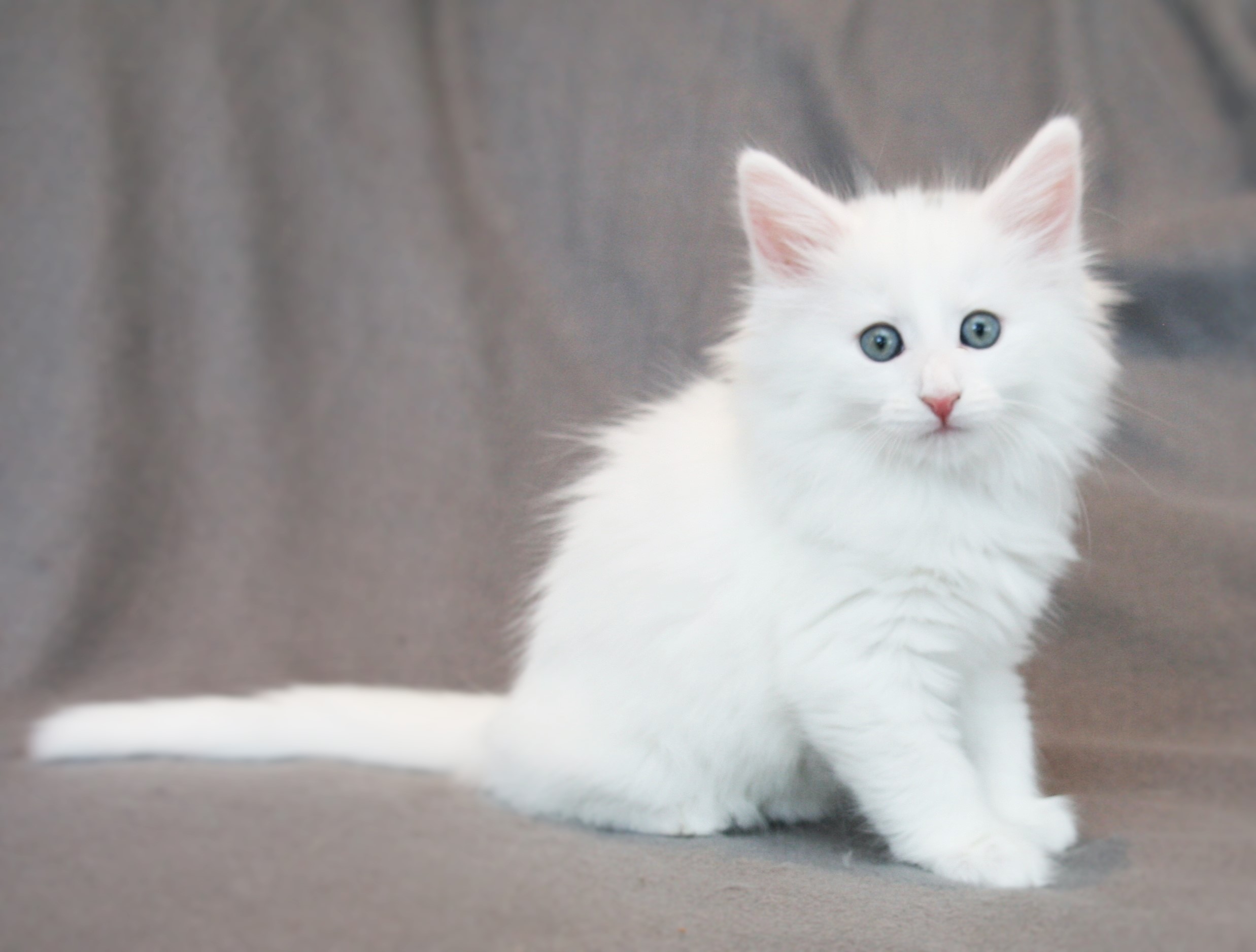 Katy 7 weeks_1