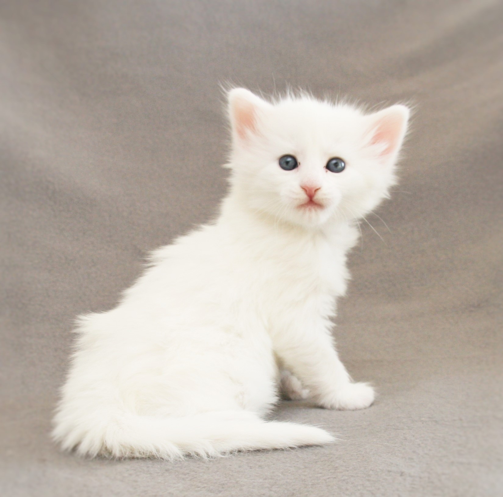 Katy 4 weeks_2