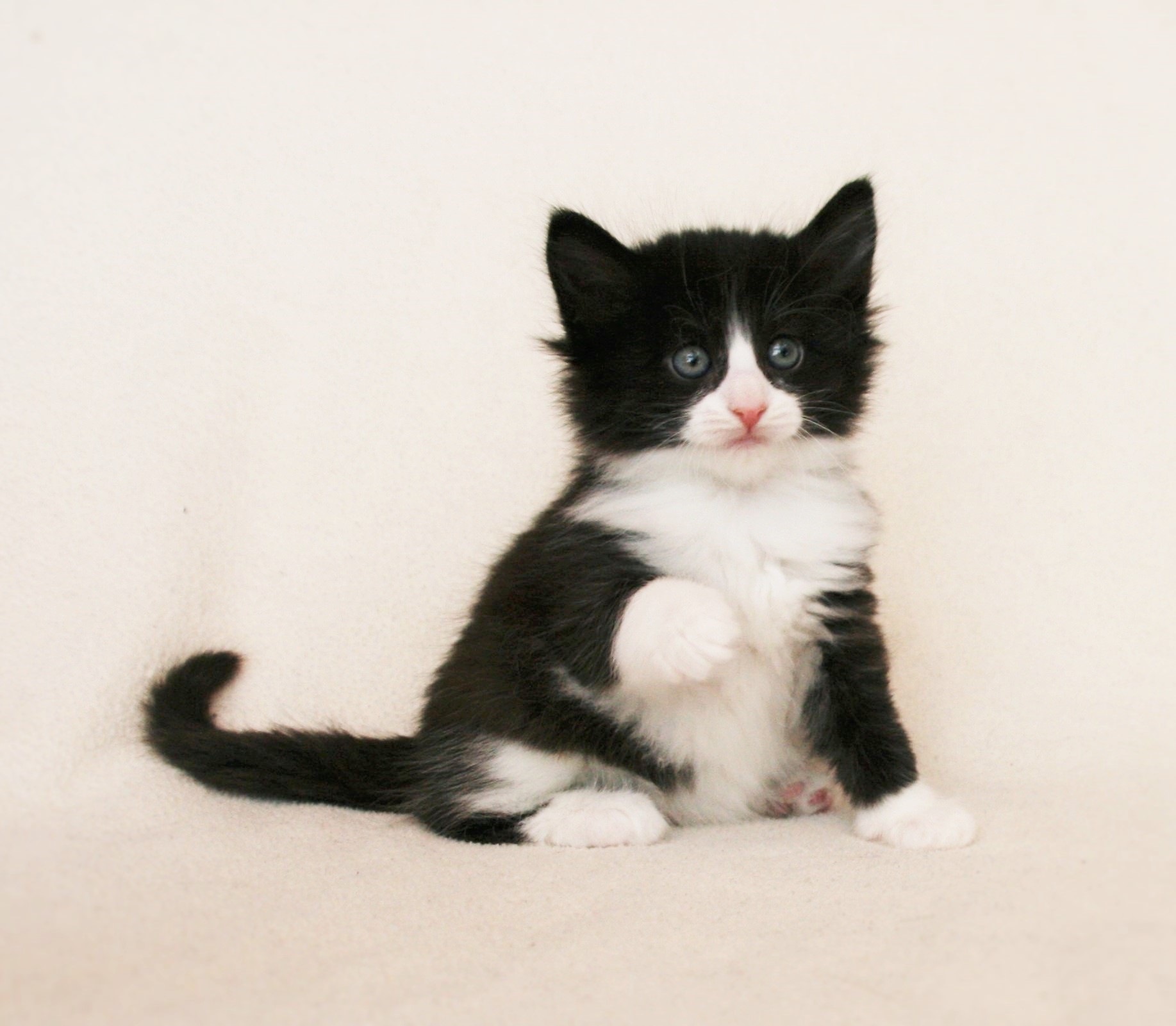 Imelda 5 weeks_3