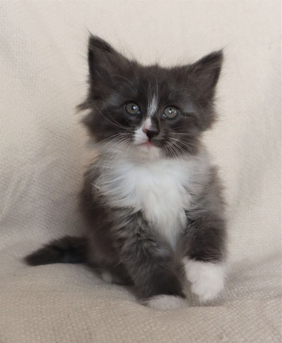 Whitney 7 weeks_5
