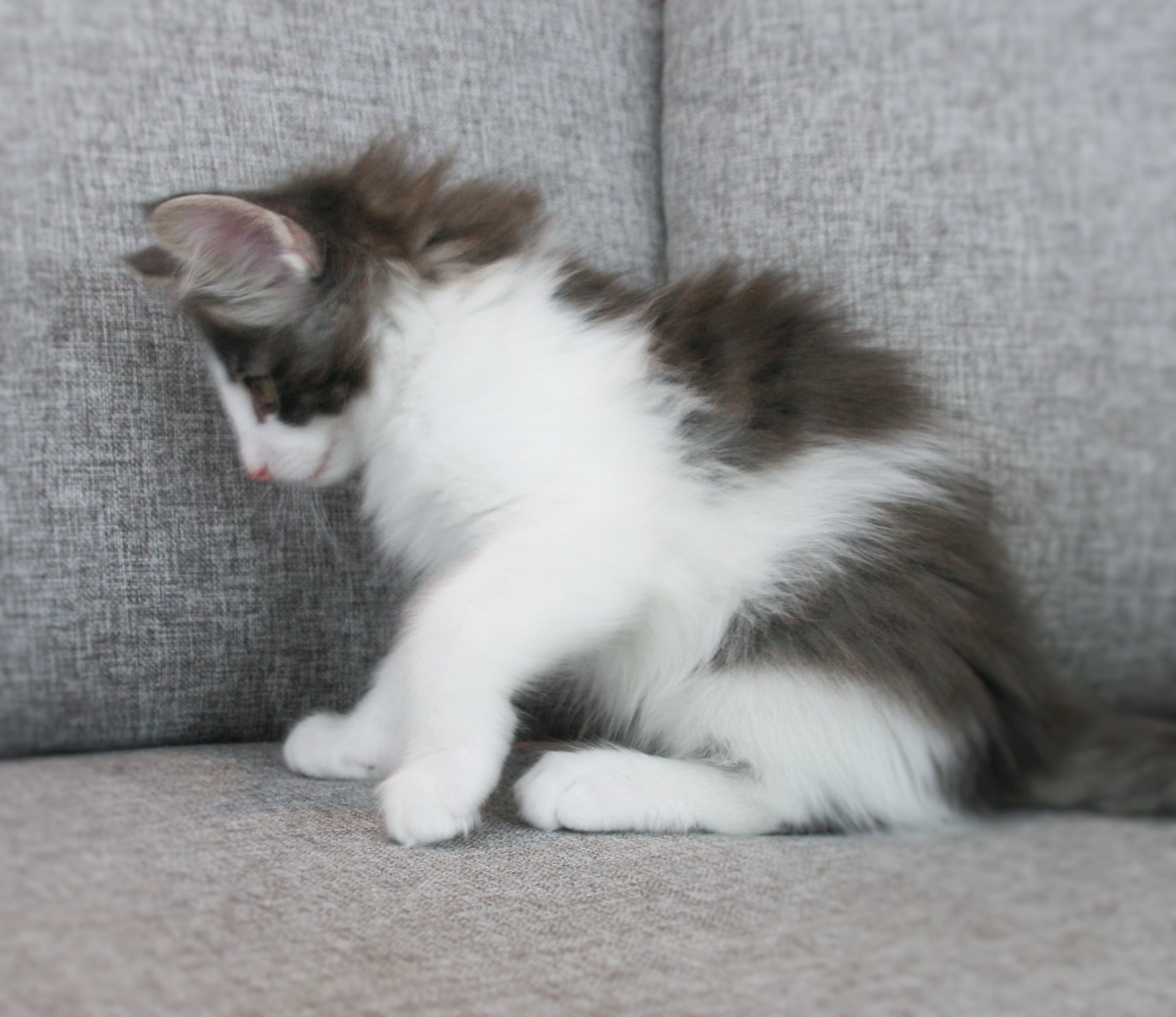 Hozier 9 weeks_4