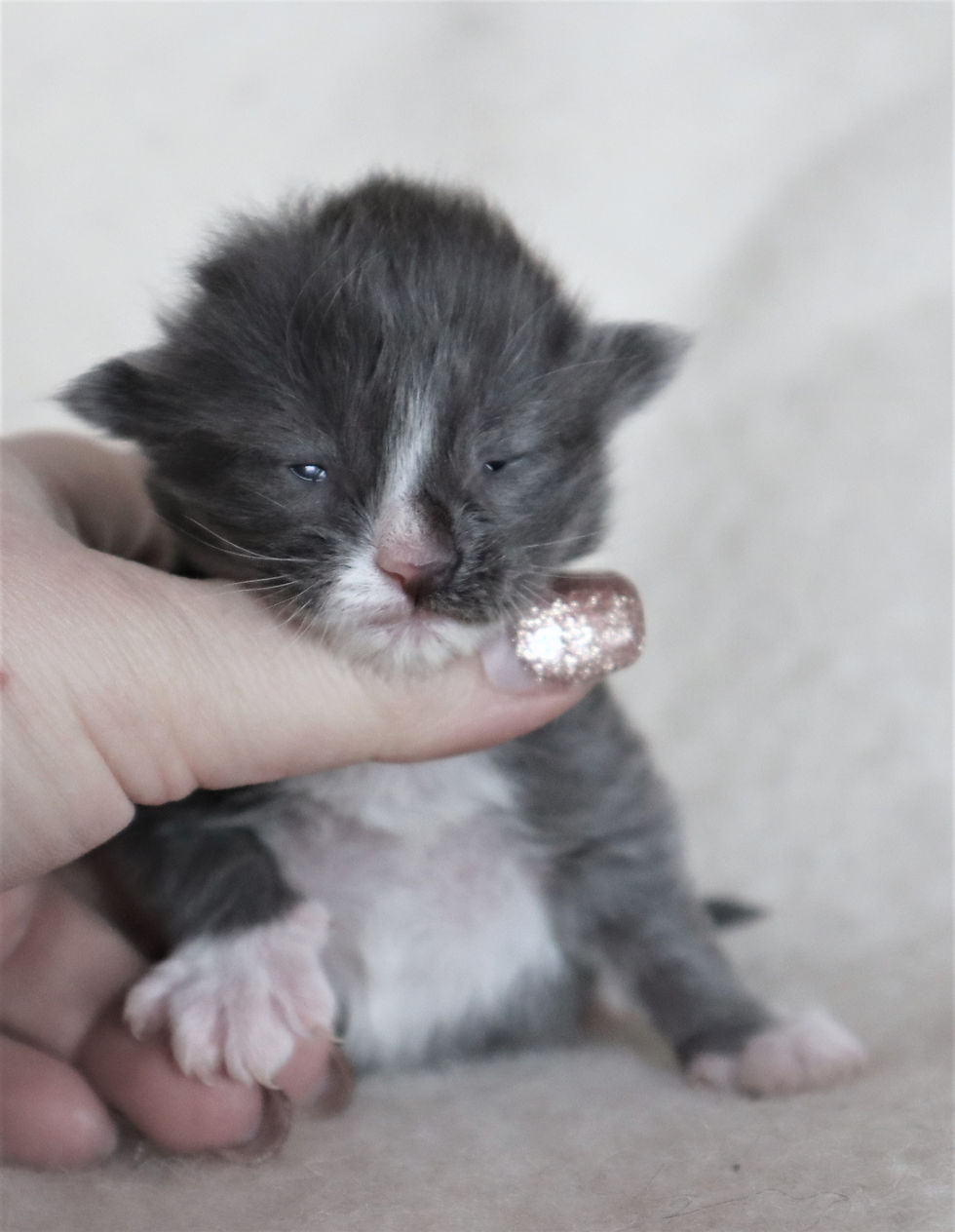 Whitney 1 week_2