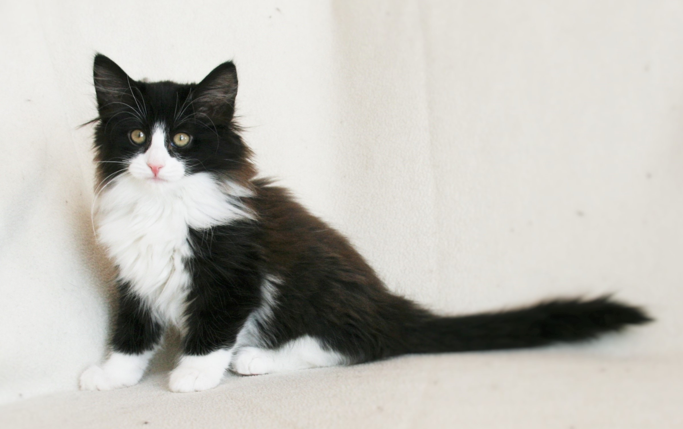 Imelda 12,5 weeks_1