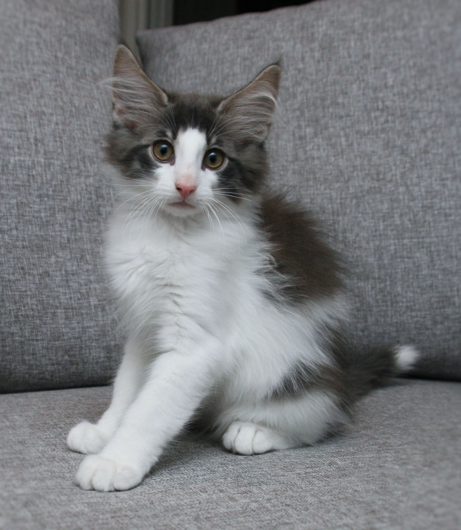 Hozier 13 weeks_1