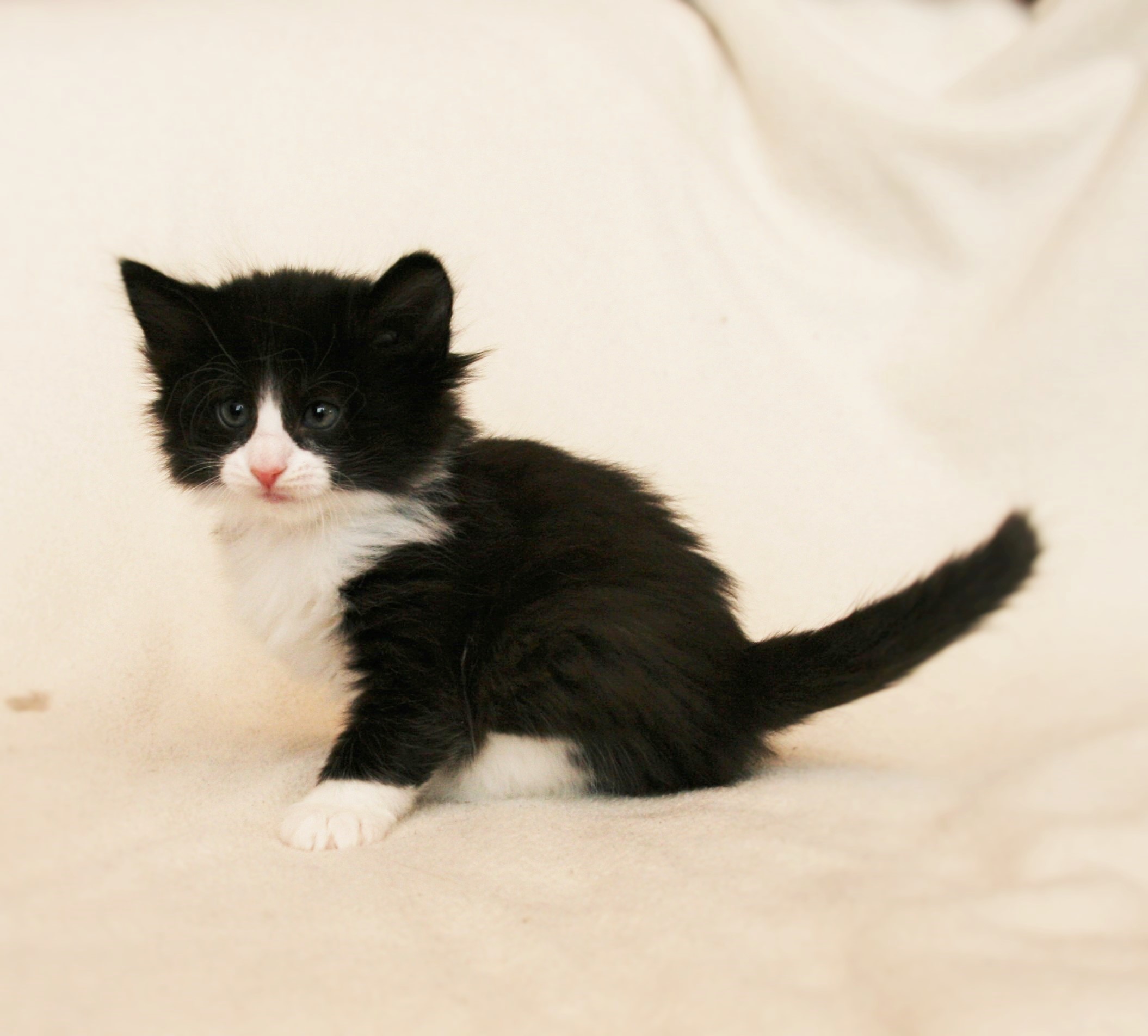 Imelda 5 weeks_1