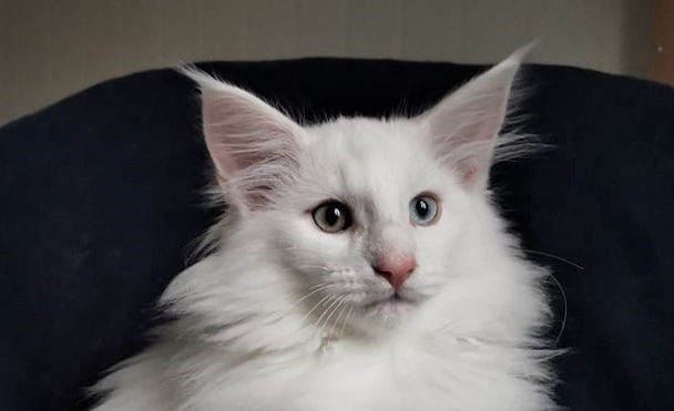 Yasmin 12 weeks_4.jpg