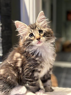 518403057_10161277615352161_8125995293248251876_n