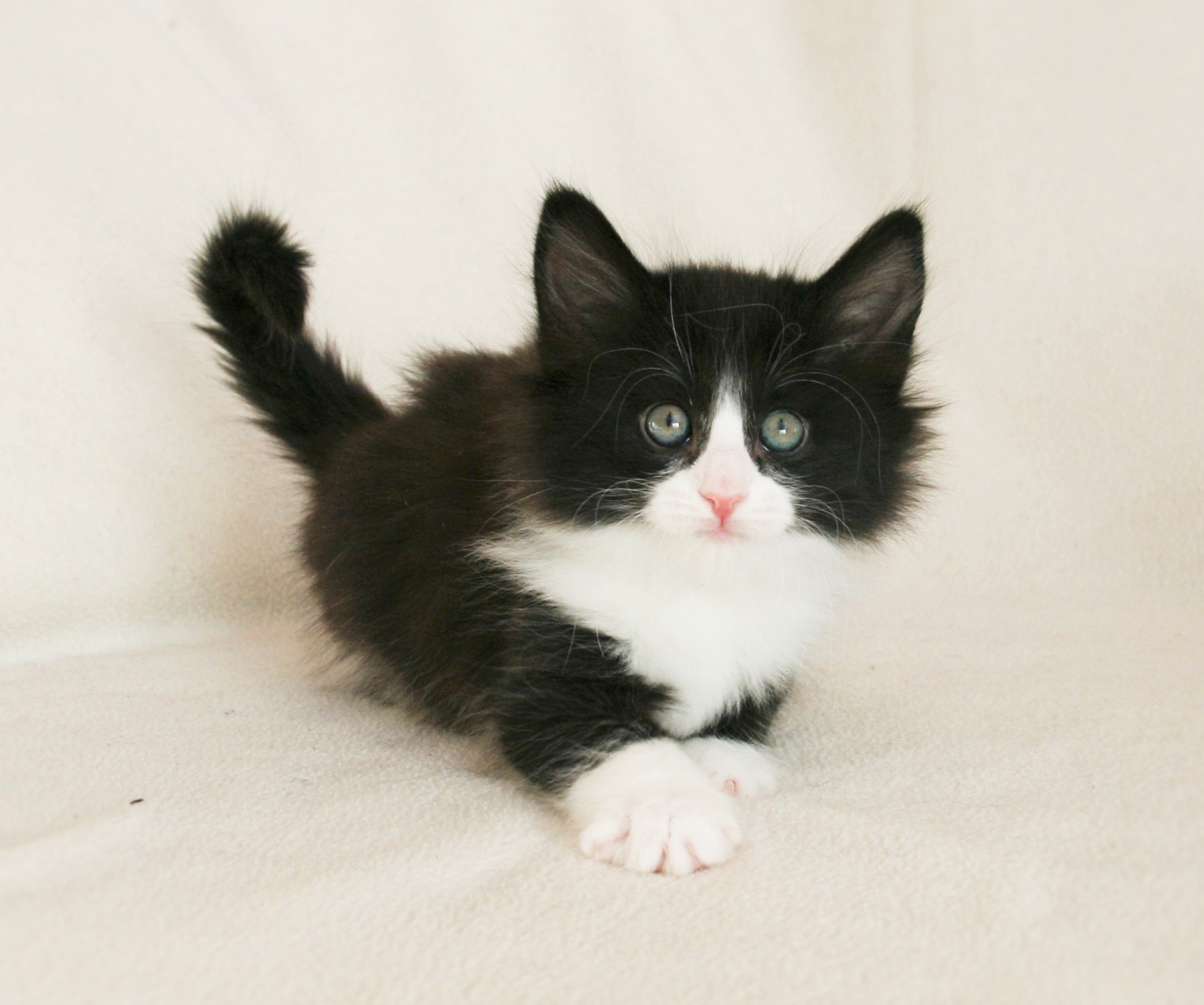 Imelda 6_3 weeks_3