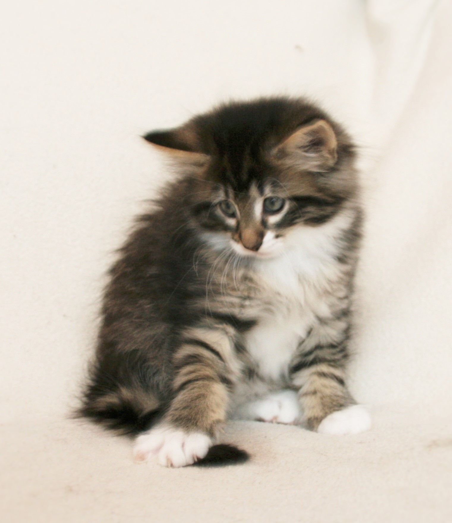 Infinity 7.5 weeks_4