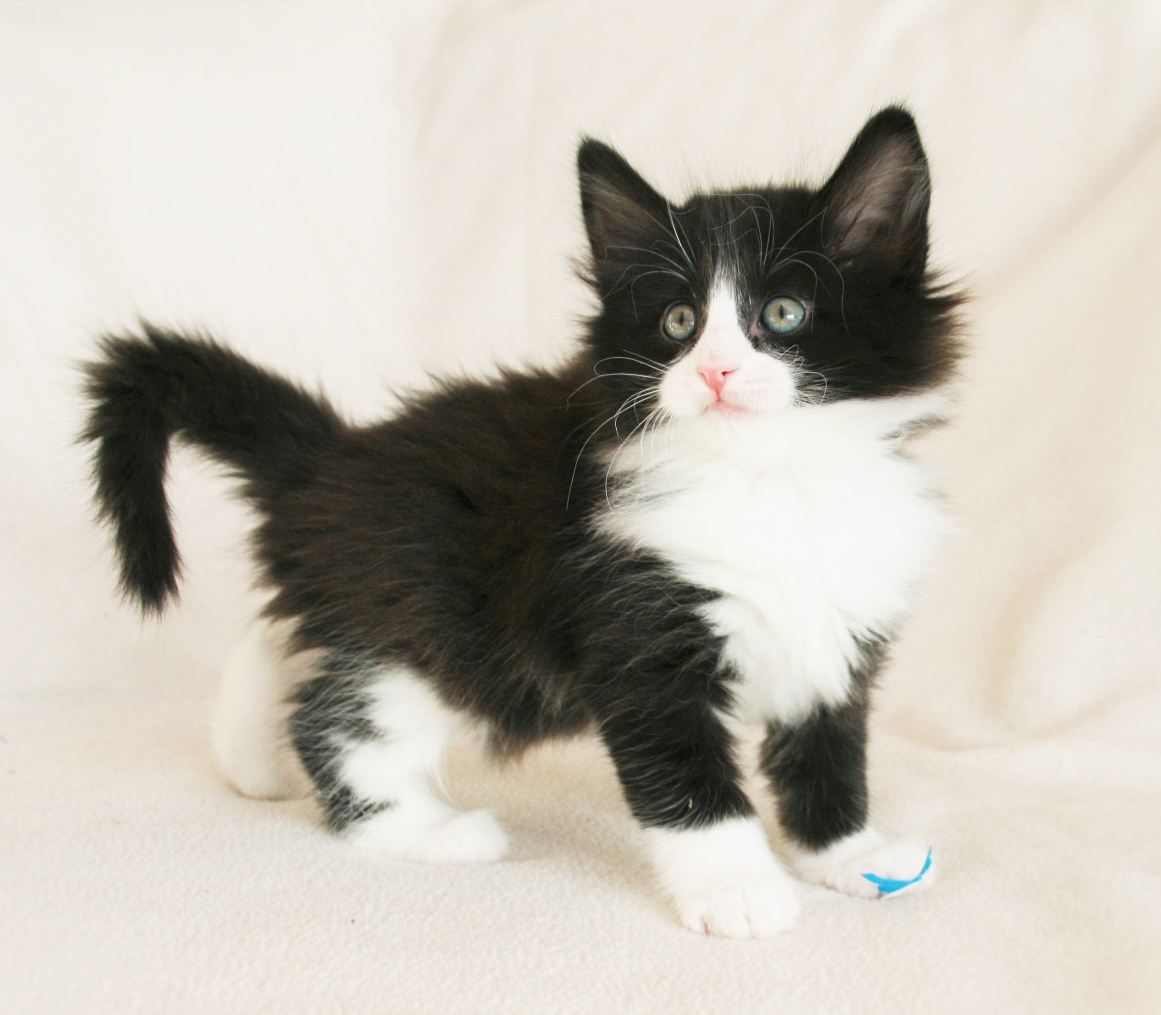 Imelda 6_3 weeks_4