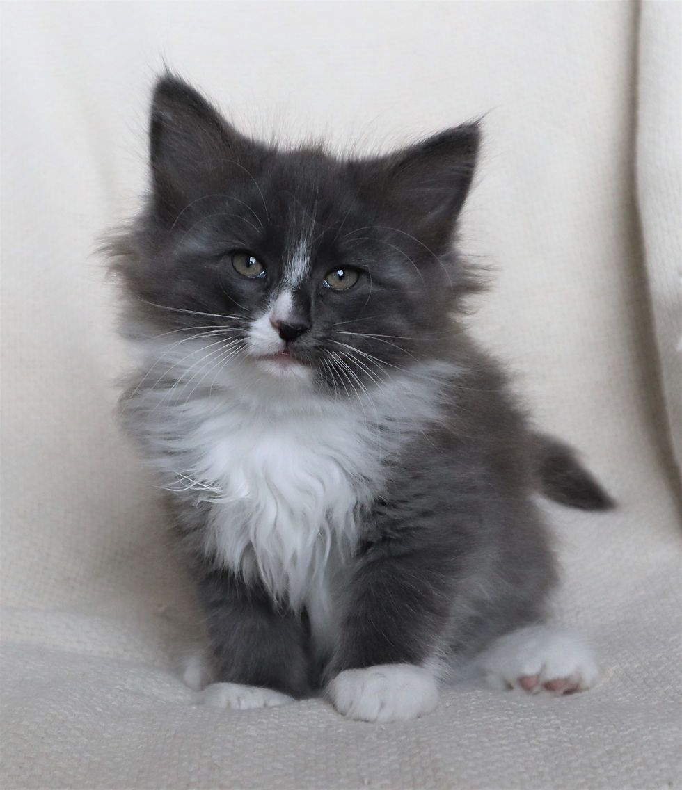 Whitney 8 weeks_2