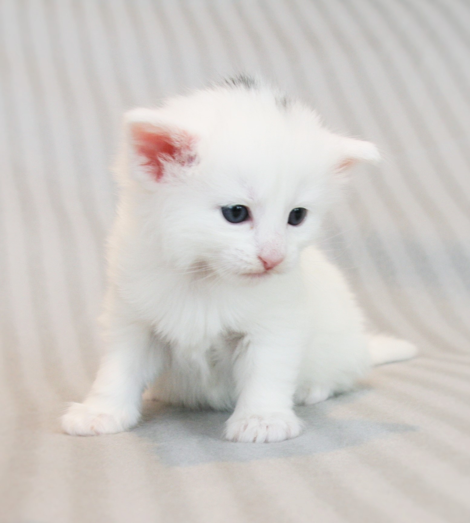 Katy 3_2 weeks_2