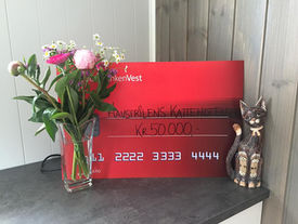 50.000,- i gave til hotellet!