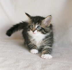 Infinity 6_3 weeks_2