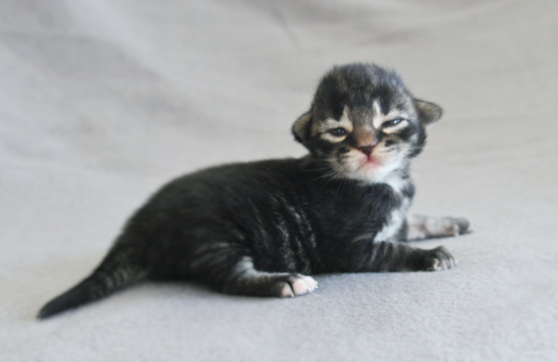 Lady 1 week_2
