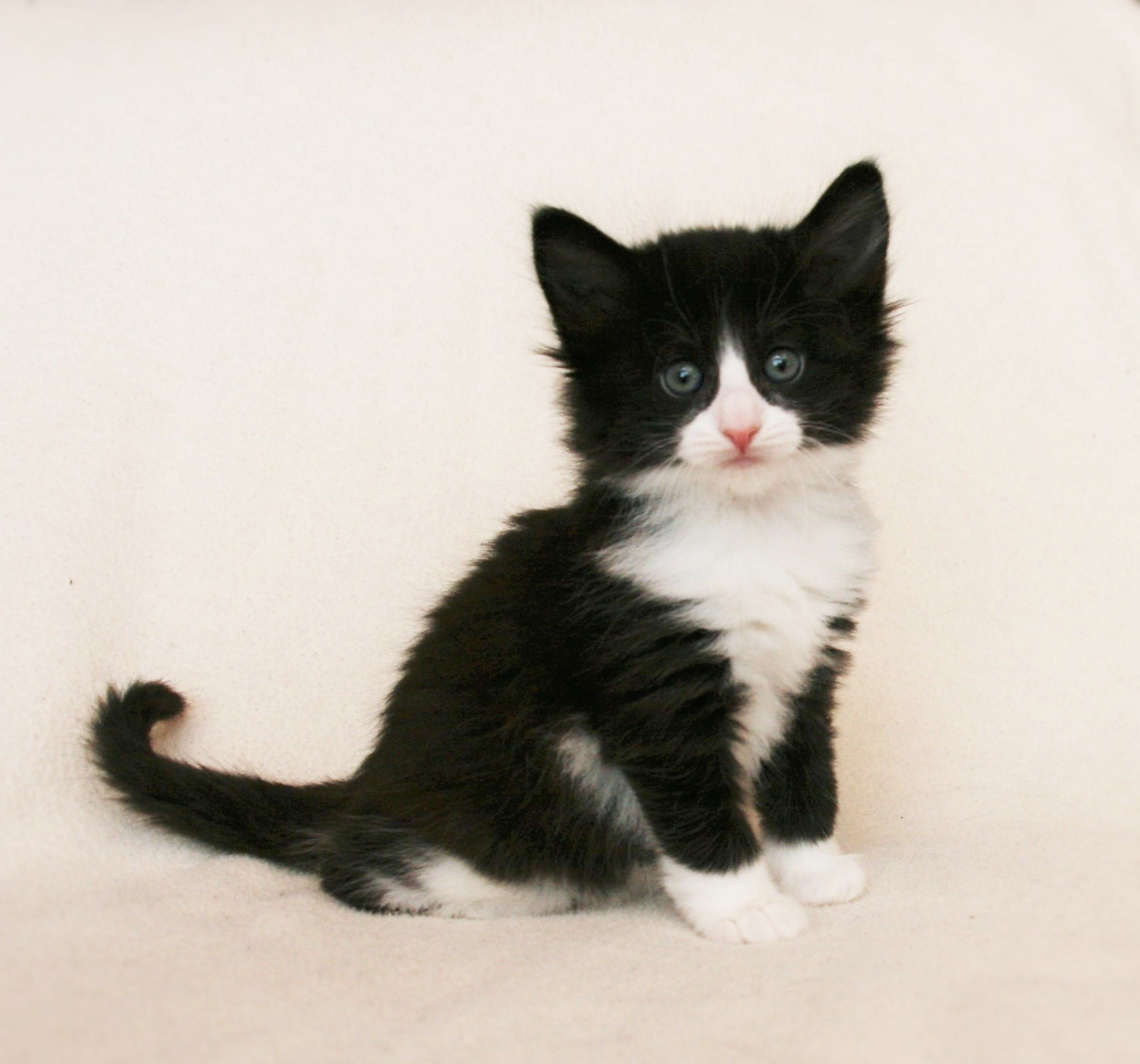 Imelda 5 weeks_2