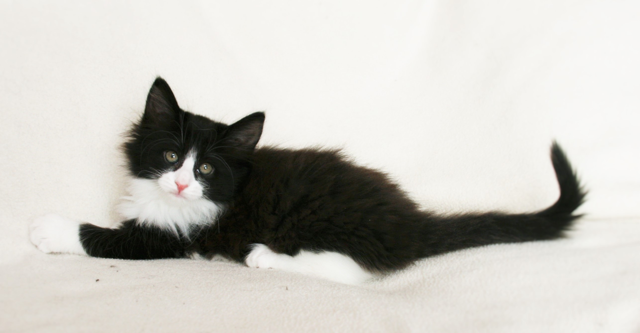 Imelda 8.5 weeks_2