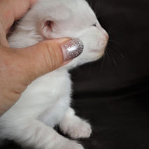 DeaLea 2,5 week_2.JPG