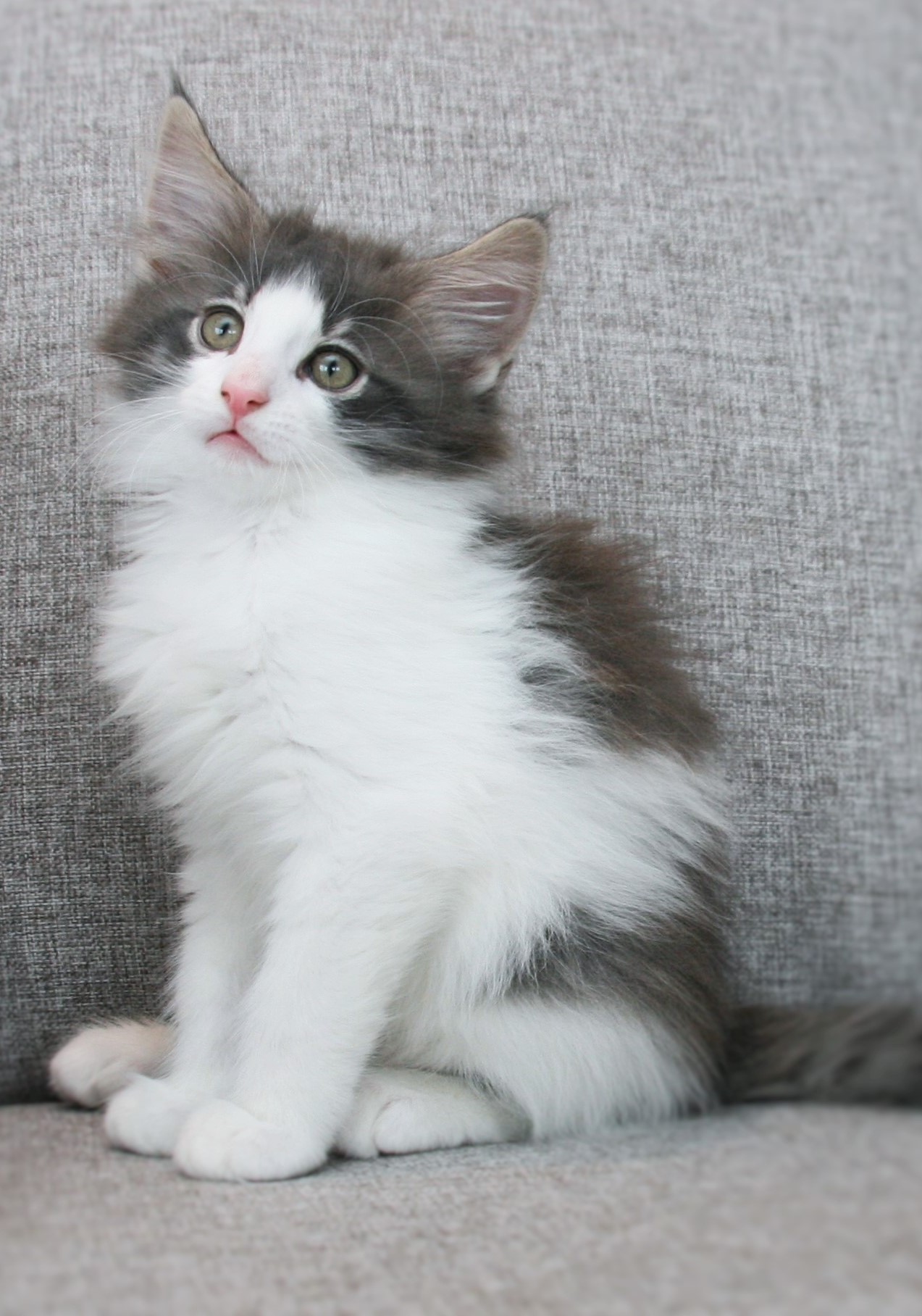 Hozier 9 weeks_3
