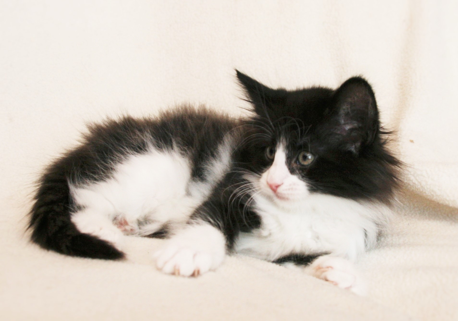 Imelda 7.5 weeks_4