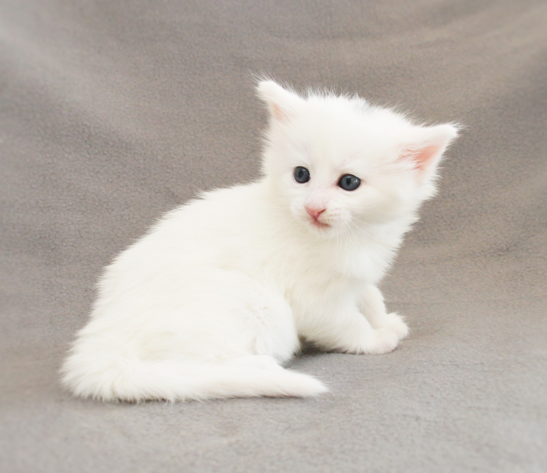 Katy 4 weeks_1
