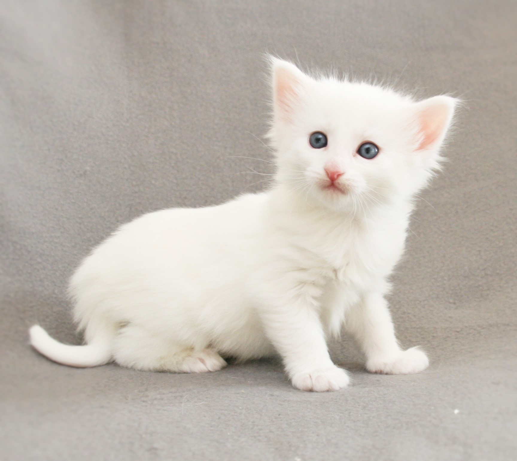 Kimbra 4 weeks_3