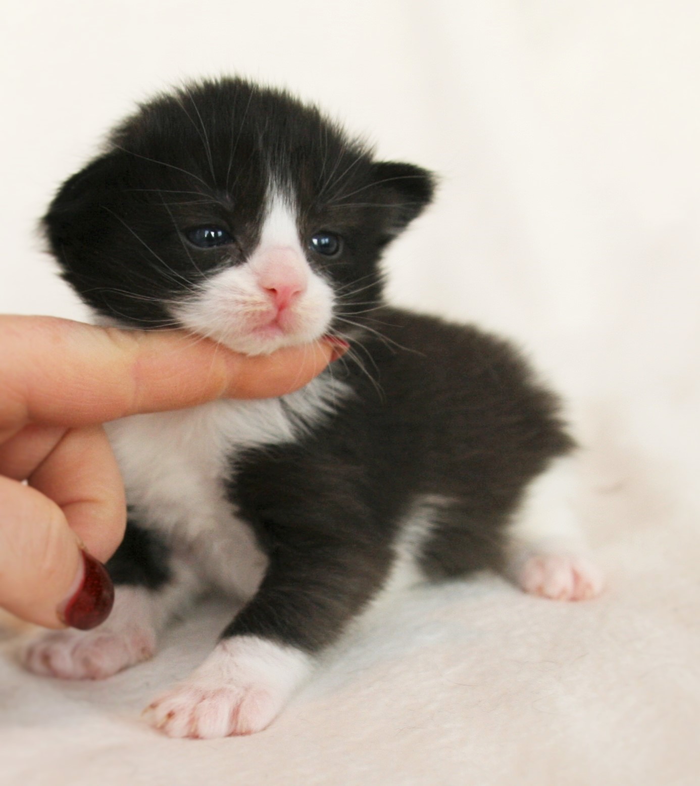 Imelda 2 weeks_2