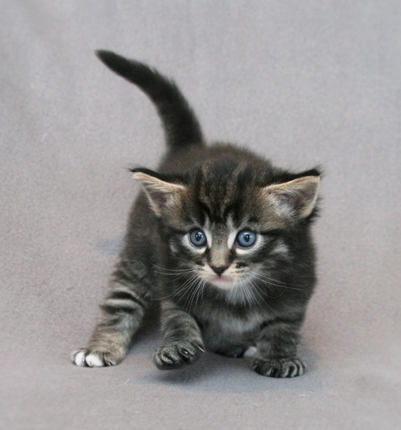 Lady 4 weeks_2